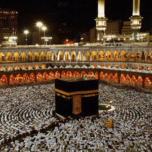 Meet your Posher, Balqees